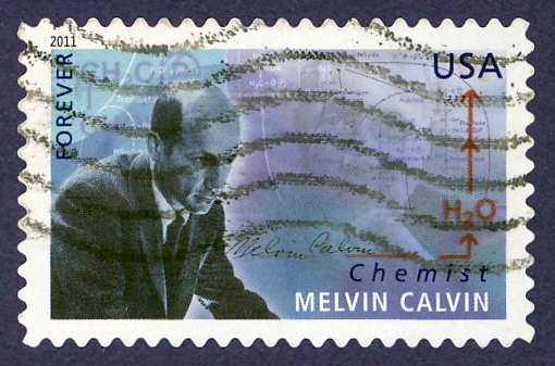 Melvin Calvin