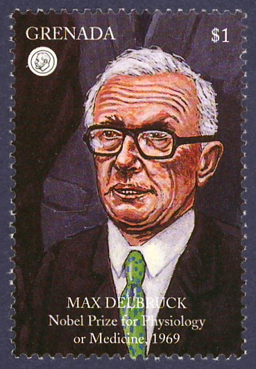Max
                Delbrück